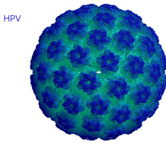 Những Ngộ Nhận Về HPV