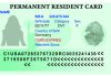 NHỮNG QUYỀN LỢI ĐƯỢC HƯỞNG KHI CÓ THẺ XANH TRONG TAY NHỮNG QUYỀN LỢI ĐƯỢC HƯỞNG KHI CÓ THẺ XANH TRONG TAY
