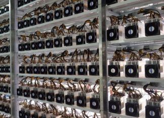 Đầu tư máy đào Bitcoin cần gì? Tiền, trí tuệ,… hay “hên xui”?