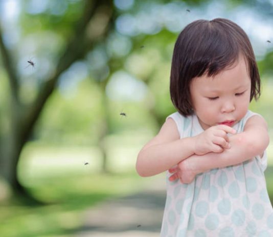 Nhiều mẹ đang chống muỗi sai phương pháp cho con thuốc trị muỗi đốt cho bé