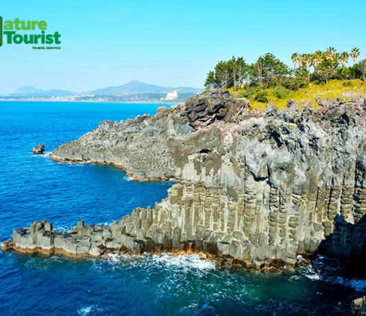 Gợi ý 3 mẫu váy mùa hè xinh xắn cho bé gái