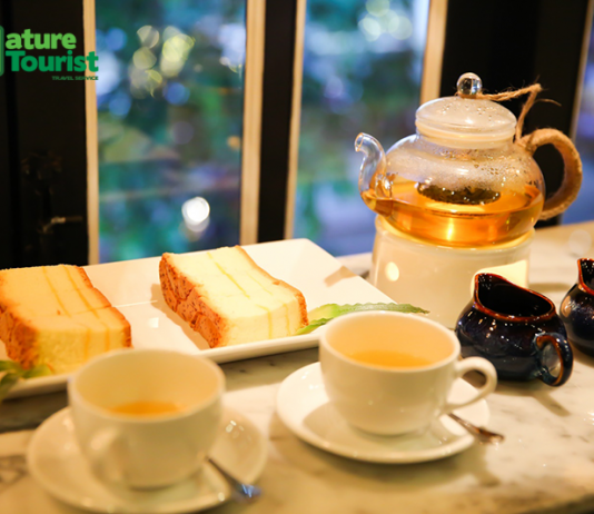 ĐẾN ĐÀI BẮC ĐỪNG QUÊN GHÉ THĂM SUỐI NƯỚC NÓNG VOLANDO HOT SPRING SPA