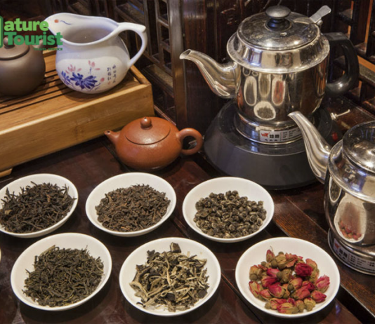 10 MÓN QUÀ NHẤT ĐỊNH PHẢI MUA KHI ĐI DU LỊCH HONG KONG 2019