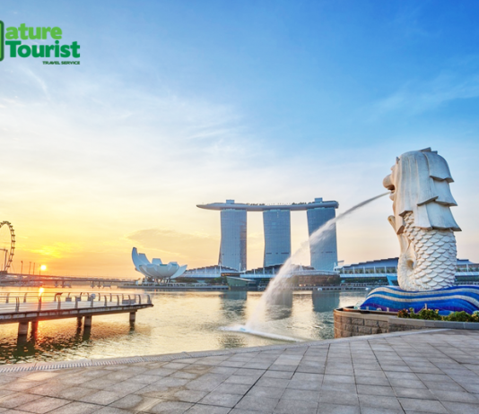 5 ĐIỀU TUYỆT ĐỐI KHÔNG NÊN LÀM KHI DU LỊCH SINGAPORE