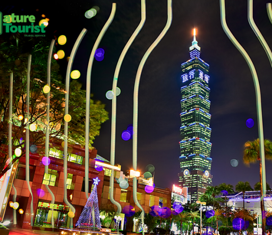 THÁP TAIPEI 101: BIỂU TƯỢNG VĂN HÓA ĐẦY TỰ HÀO CỦA NGƯỜI ĐÀI LOAN