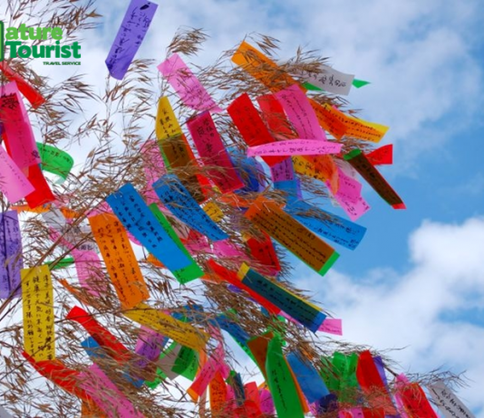 Top 5 lễ hội lớn nhất trong năm tại Hồng Kông bạn không thể bỏ qua