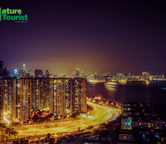 KHÁM PHÁ TOUR DU LỊCH TUNG TĂNG THẢ GA TỪ HỒNG KÔNG ĐẾN HÀN QUỐC