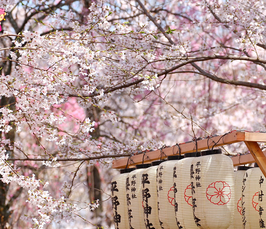 Thời tiết 4 Mùa Nhật Bản – Du lịch Nhật Bản mùa nào là đẹp nhất?