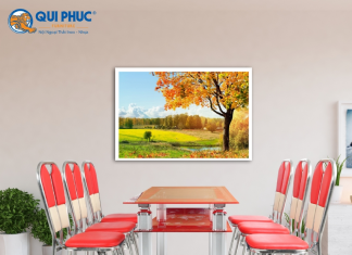 4 điểm đáng chú ý khi chọn mua ghế xếp inox bạn chớ quên