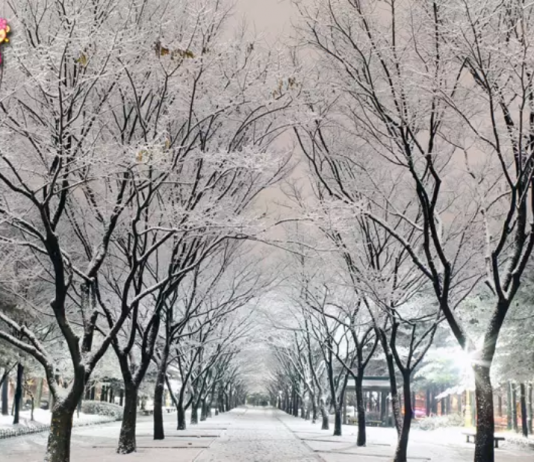 Kinh nghiệm du lịch Hàn Quốc tháng 12: Thời tiết & Nên đi đâu