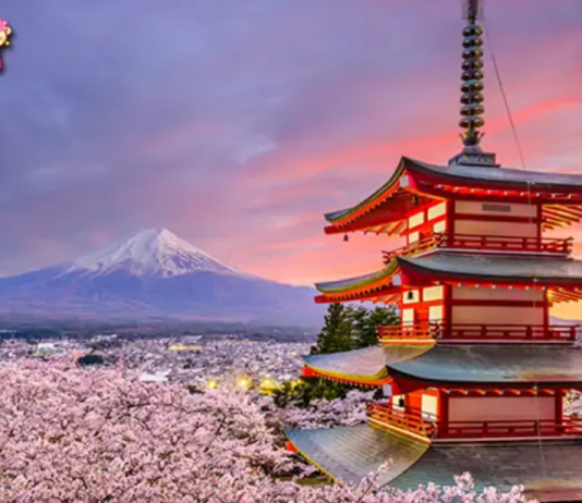 16 Tips hữu ích giúp tiết kiệm chi phí khi du lịch ở Nhật Bản