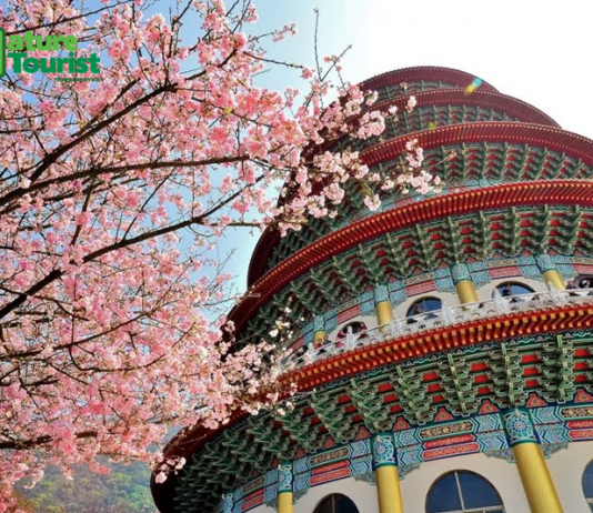 “Bỏ túi” ngay Bản đồ đón hoa mùa xuân “cực hot” ở Đài Loan 2020