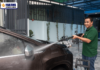 Hakawa – Thương hiệu bán máy xịt rửa xe uy tín tại Hải Phòng