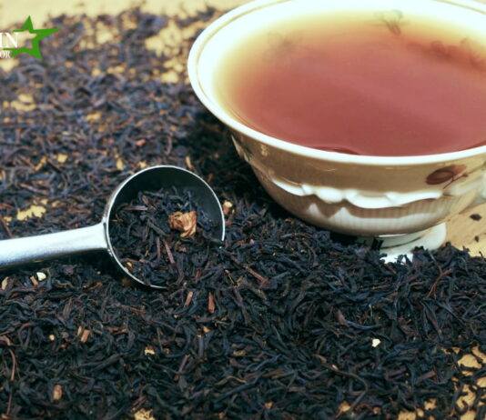 Khám phá toàn bộ quy trình sản xuất trà đen