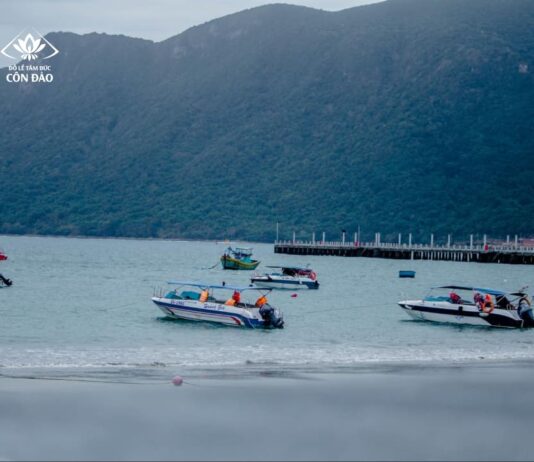 Nên đi du lịch Côn Đảo tự túc hay theo tour?